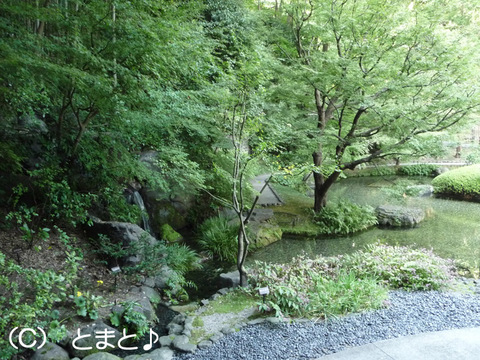 山崎の名水が流れる庭園