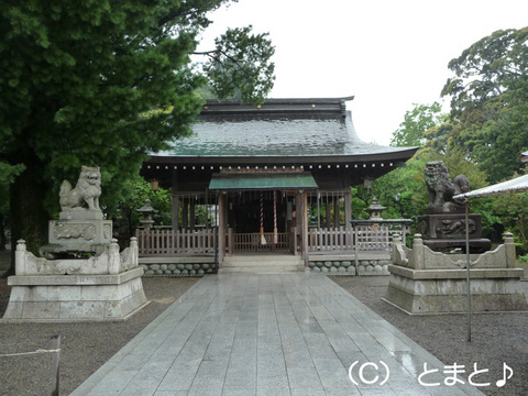 小浜神社 拝殿