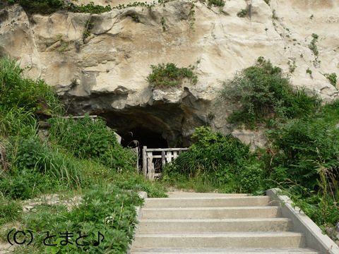 岸壁の洞穴