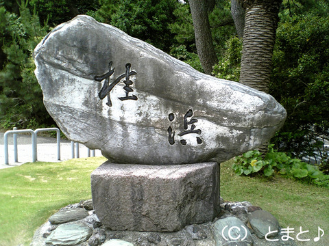 桂浜の石碑