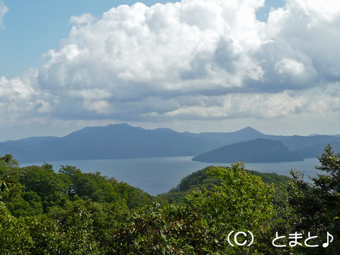 滝ノ沢展望台から十和田湖を望む
